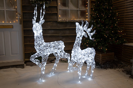 Acrylic Light Up Reindeer