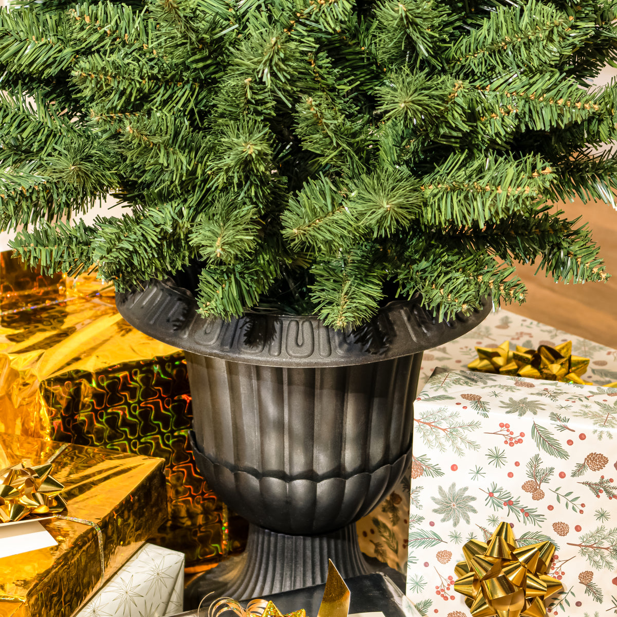 4ft - 5ft Potted Belgravia Spruce PE Artificial Christmas Tree