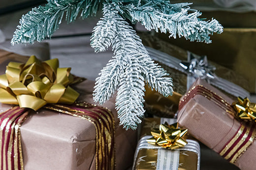 Best Christmas Gifts for Garden Enthusiasts in 2025