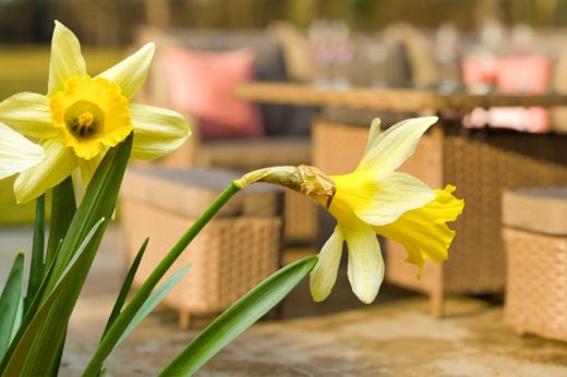 Spring 2026 Garden Trends That Will Transform Your Outdoor Living Space