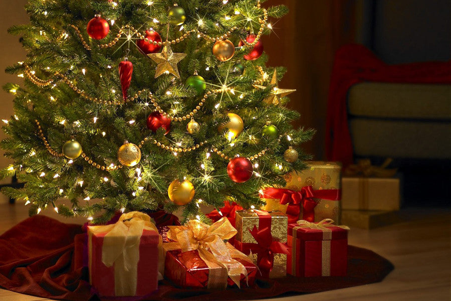 Christmas Trees, Decorations & Lights