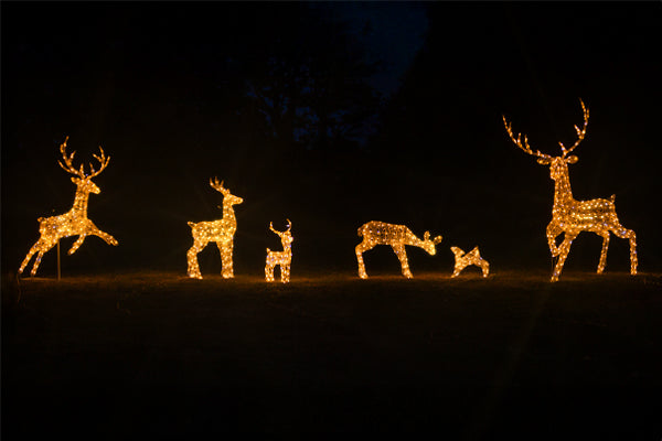 Outdoor Christmas Light Up Reindeers