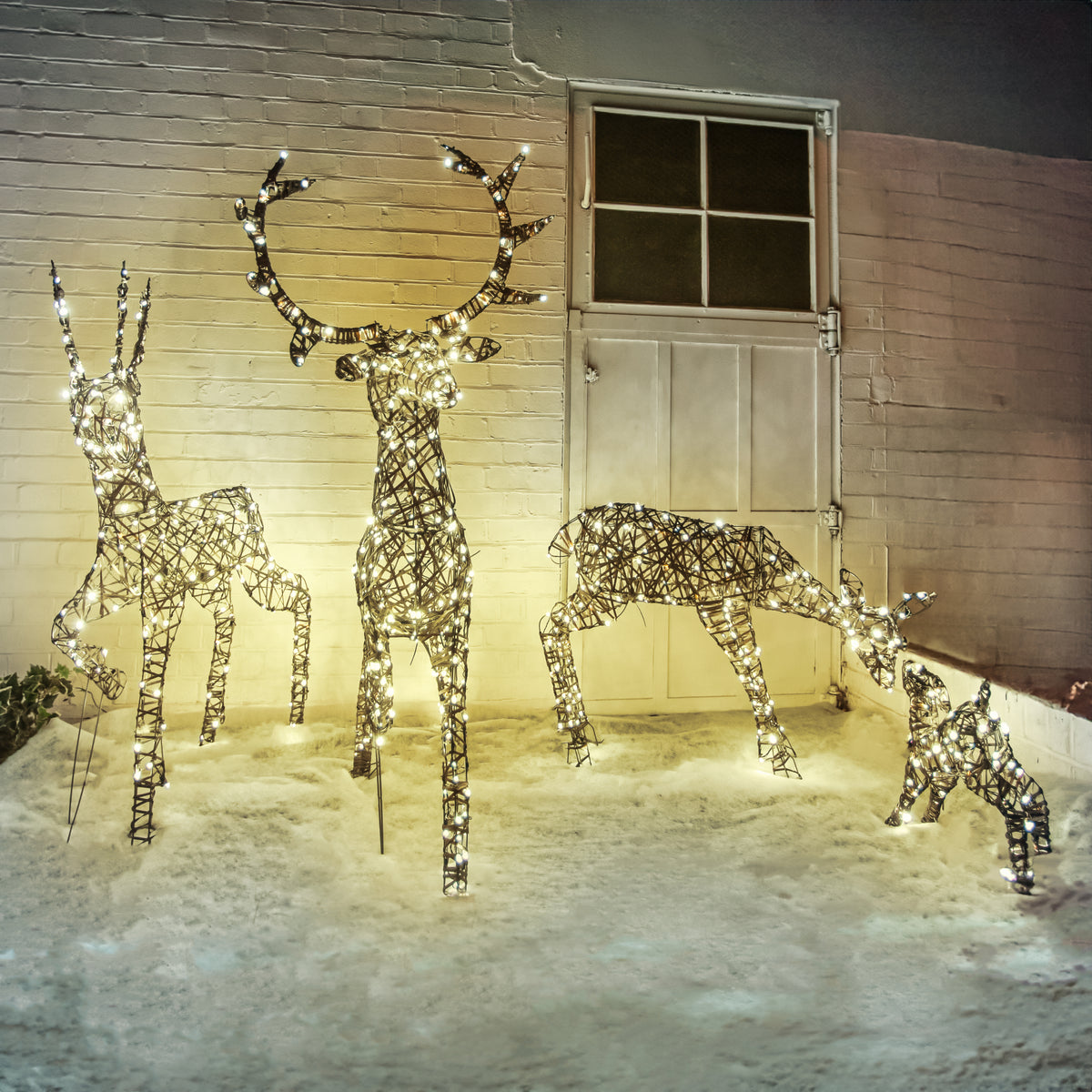 Christmas Reindeer Family Outdoor Light Set