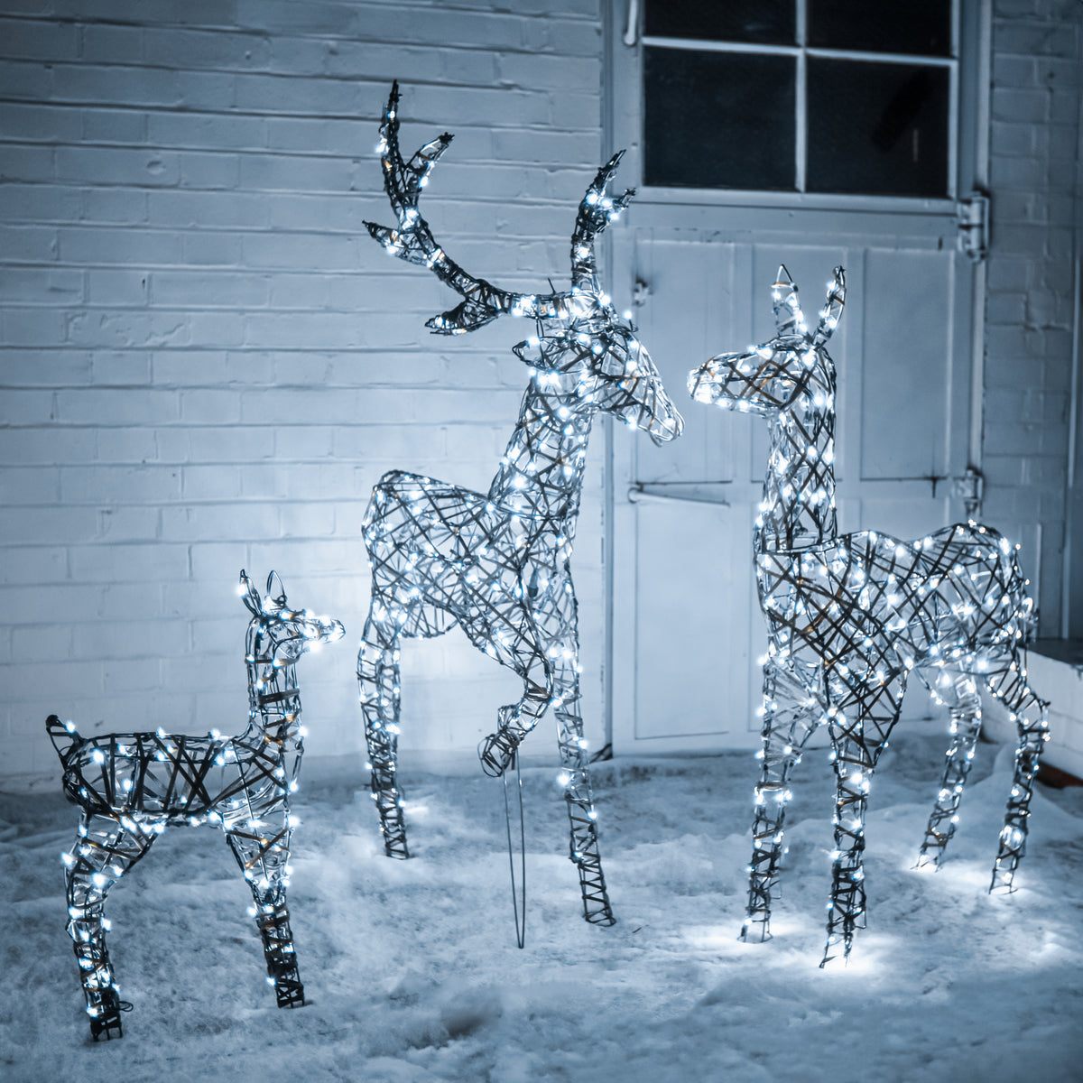 Christmas Family of Reindeer Outdoor Light Set