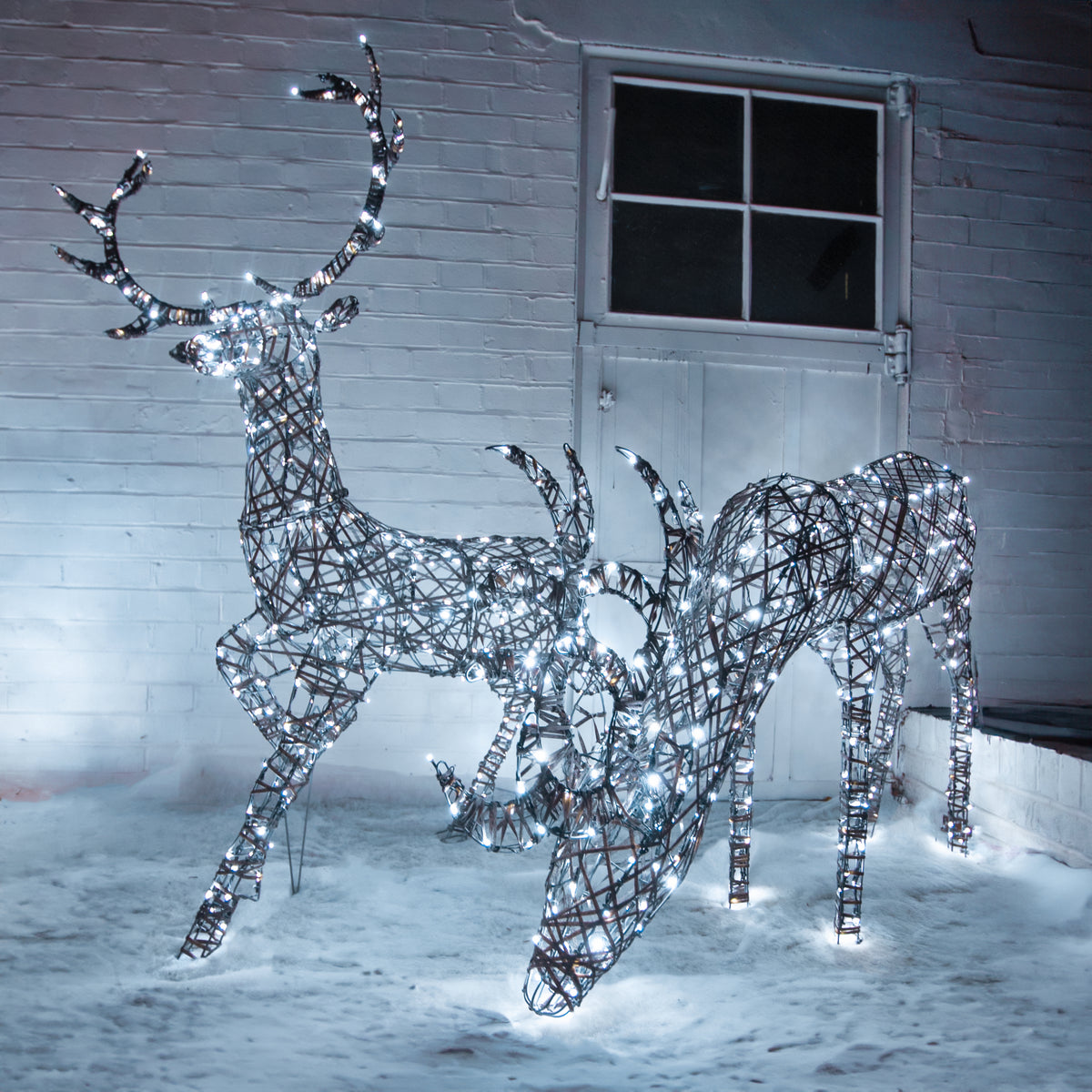 Christmas Reindeer Pair of Stags Outdoor Light Set