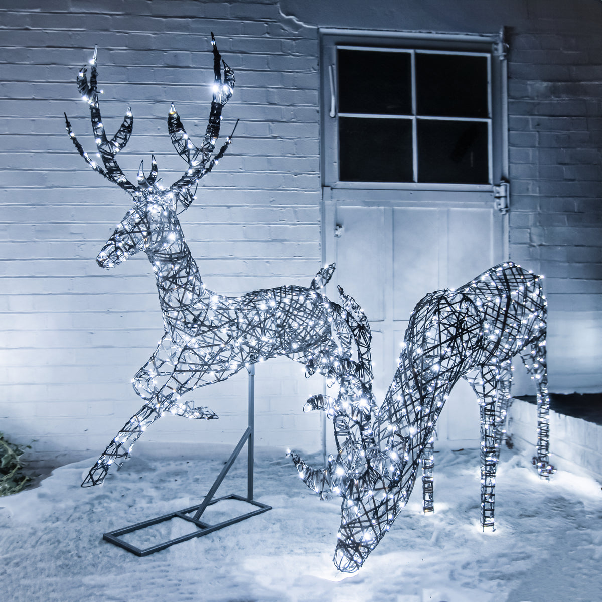 Christmas Reindeer Duo Stag Outdoor Light Set