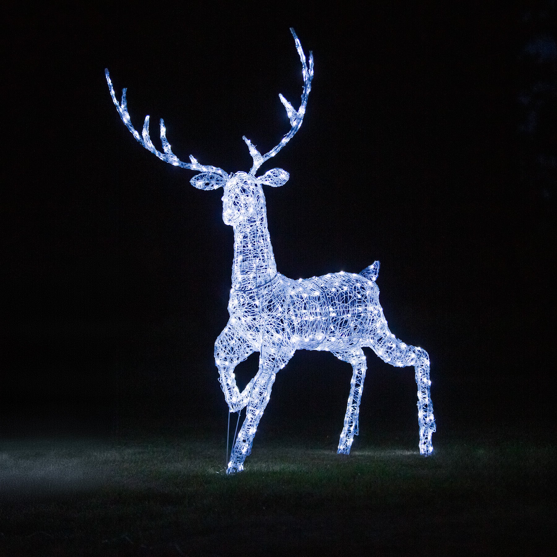Christmas Reindeer Light - 2M Soft Acrylic Light Up Grand Stag with 35 ...