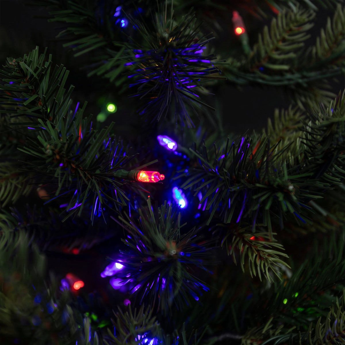 Warwick Artificial Pre-Lit Green PE/PVC Christmas Tree 6.5FT, 7.5FT