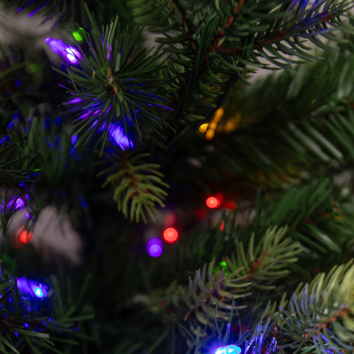 Warwick Artificial Pre-Lit Green PE/PVC Christmas Tree 6.5FT, 7.5FT