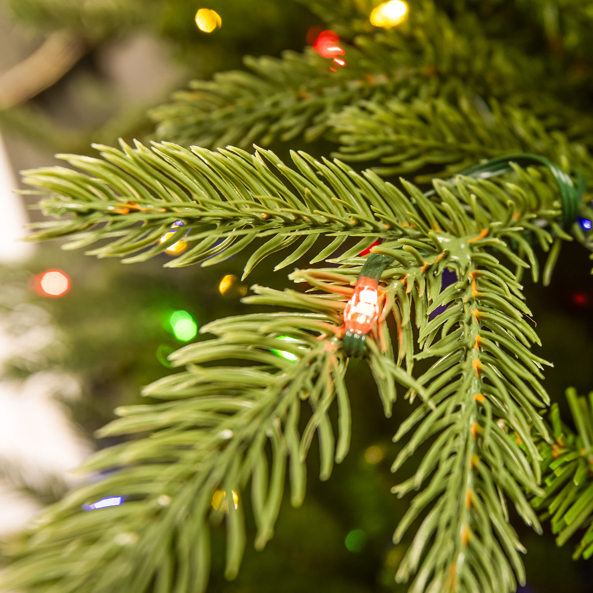 Blenheim Fir Artificial Pre-Lit PE Christmas Tree 6.5FT, 7.5FT