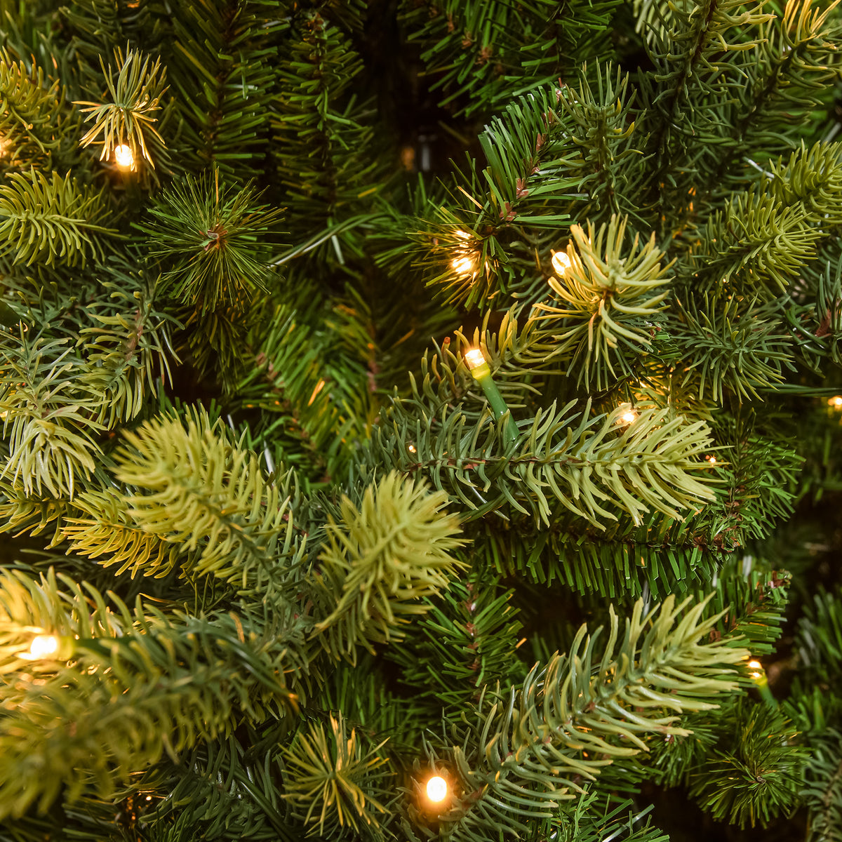 Canterbury Pre-Lit Artificial PE Christmas Tree 6.5FT, 7.5FT
