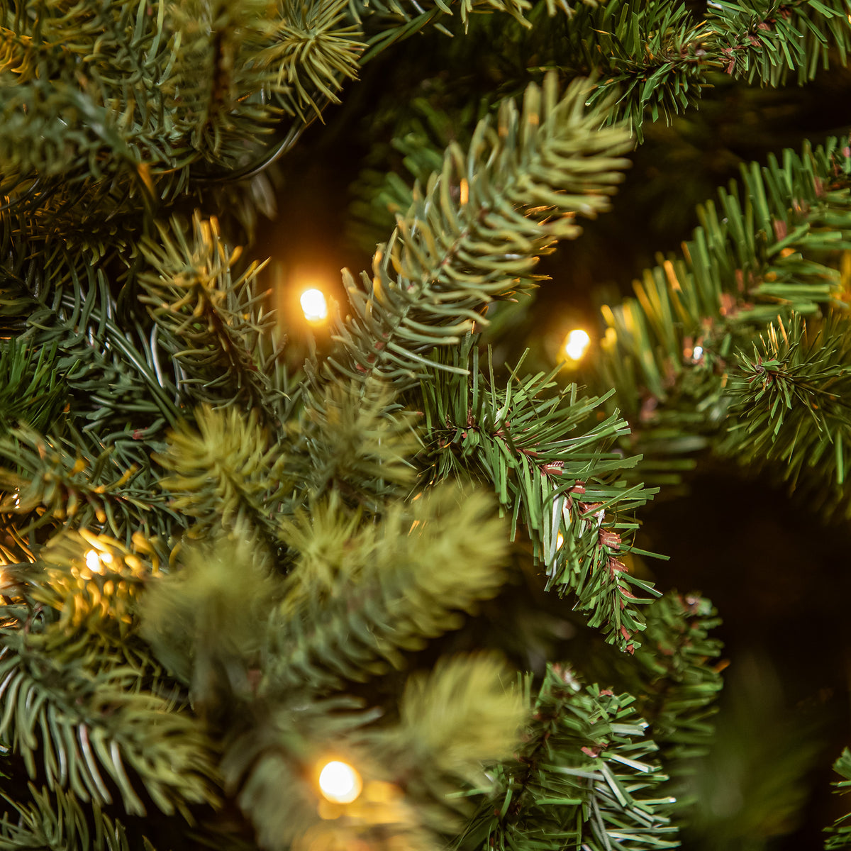 Canterbury Pre-Lit Artificial PE Christmas Tree 6.5FT, 7.5FT