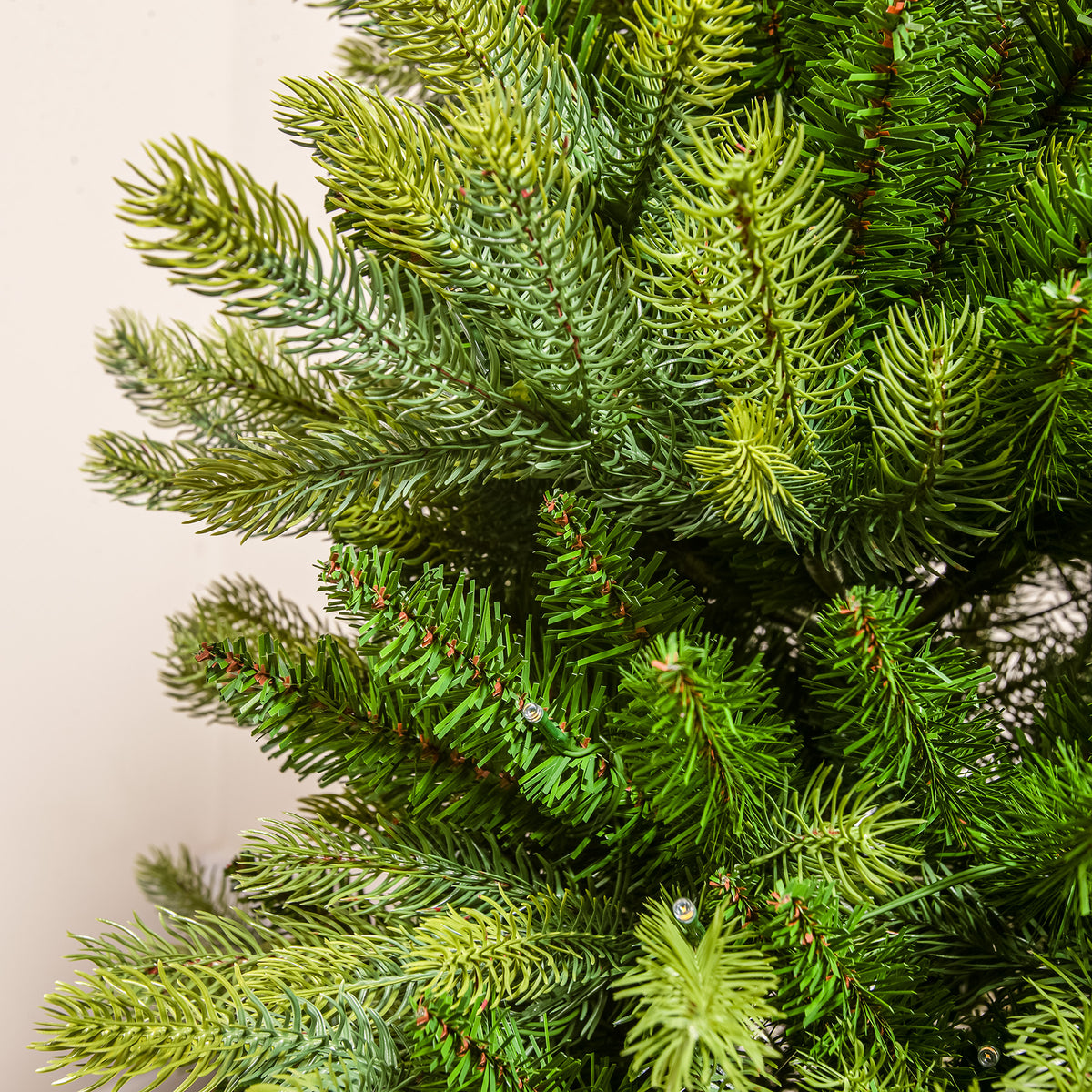 Canterbury Pre-Lit Artificial PE Christmas Tree 6.5FT, 7.5FT