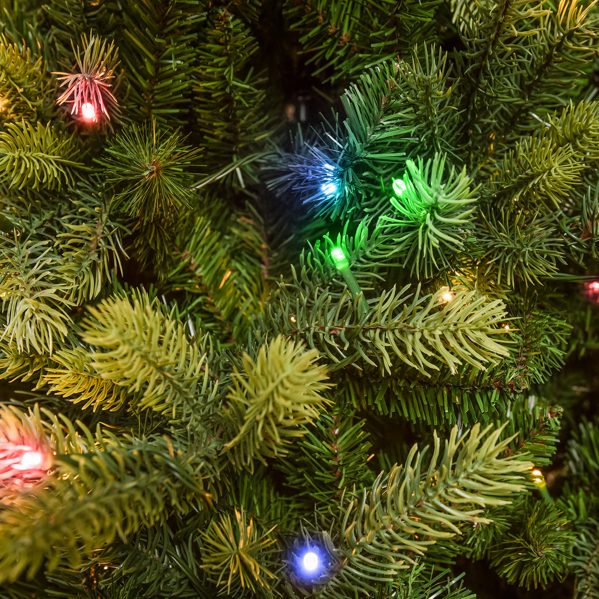 Canterbury Pre-Lit Artificial PE Christmas Tree 6.5FT, 7.5FT