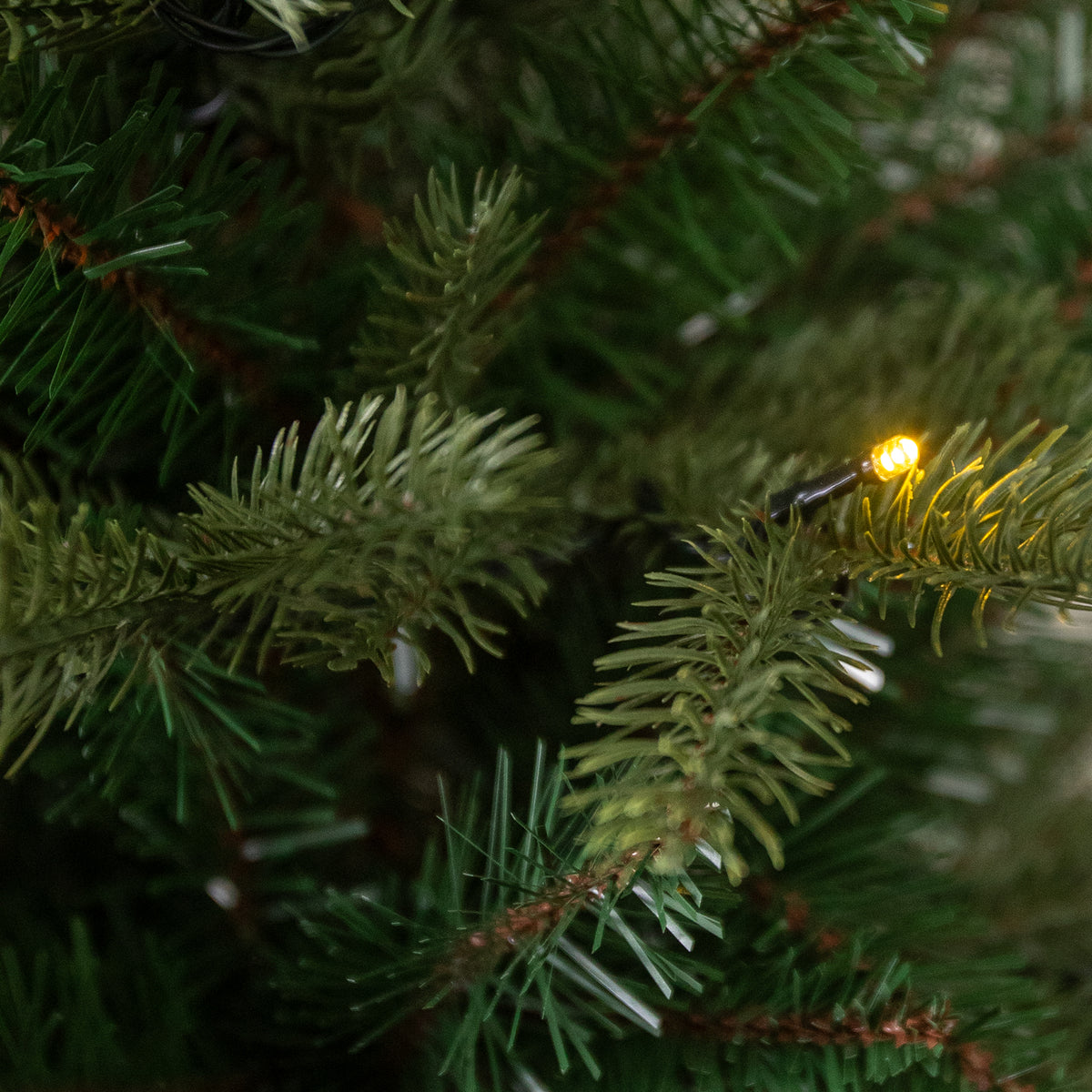 Sherwood Artificial Pre-Lit Green PE/PVC Christmas Tree 6FT, 7FT