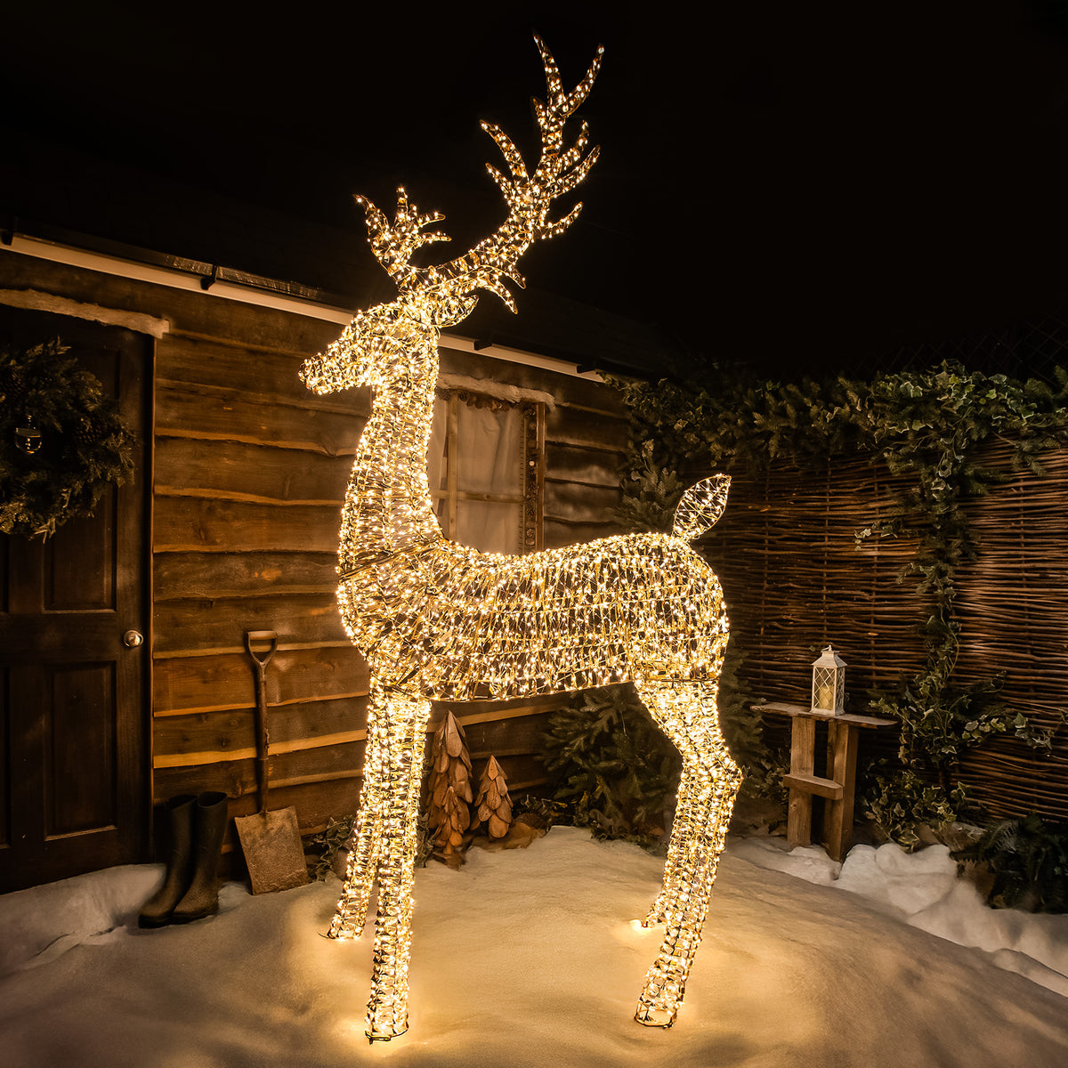 Pre-Lit Christmas Gold Laser Lit Stag 270cm with 5100 Warm White LED Micro-Lights
