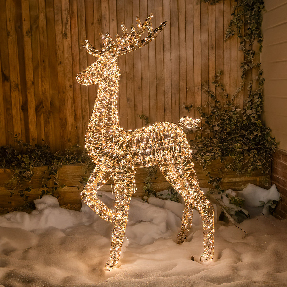 Pre-Lit Christmas Gold Laser Lit Stag 150cm with 960 Warm White LED Micro-Lights