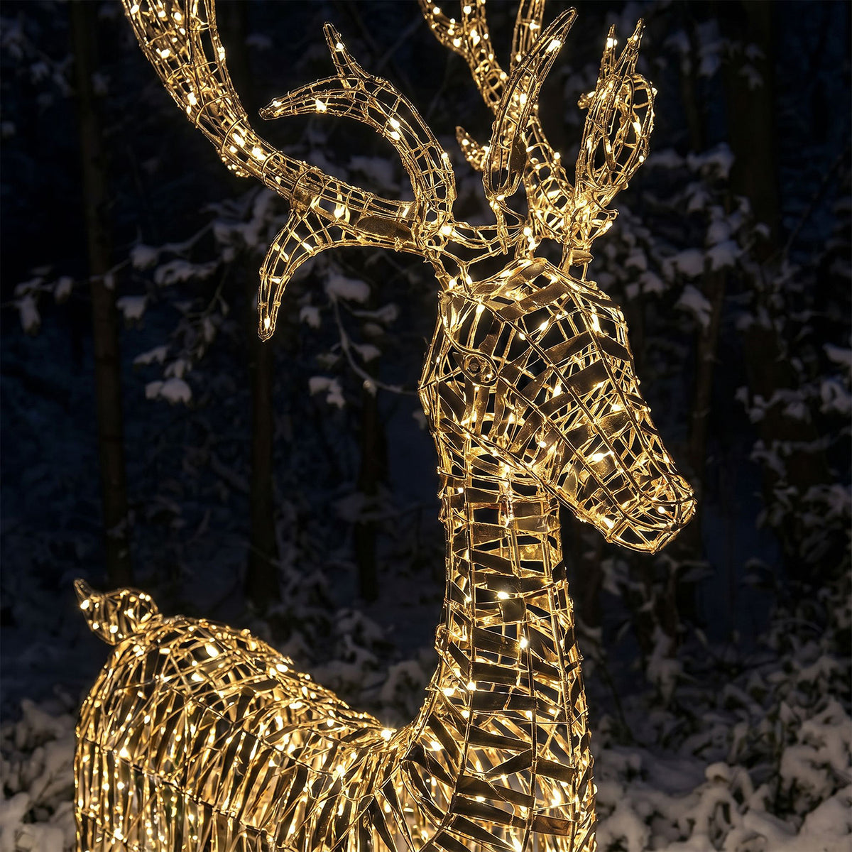 Pre-Lit Christmas Gold Laser Standing Deer 2m with 2400 Warm White LED Micro-Lights