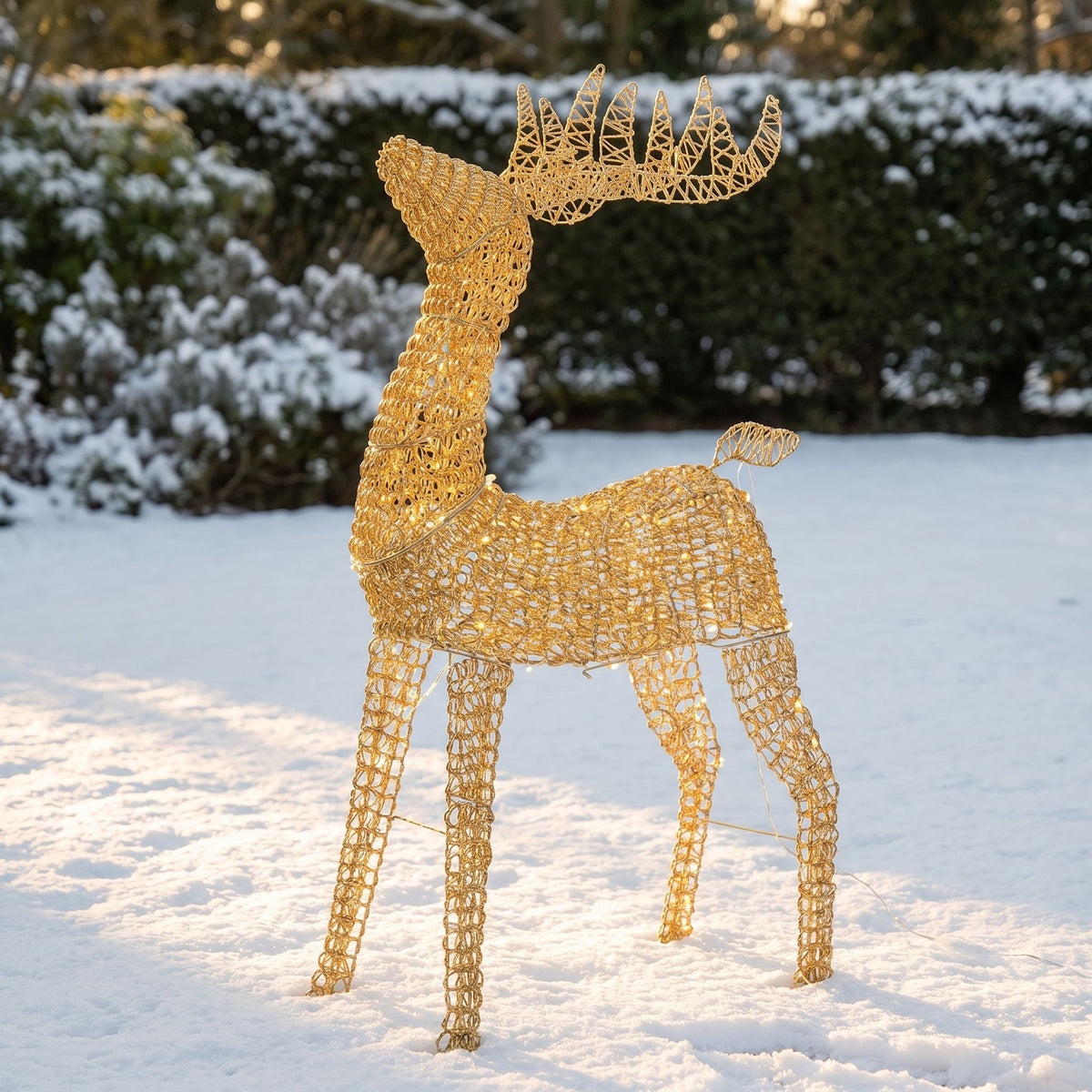 Pre-Lit Christmas Gold Curly Standing Stag 80cm with 600 Warm White LED Micro-Lights