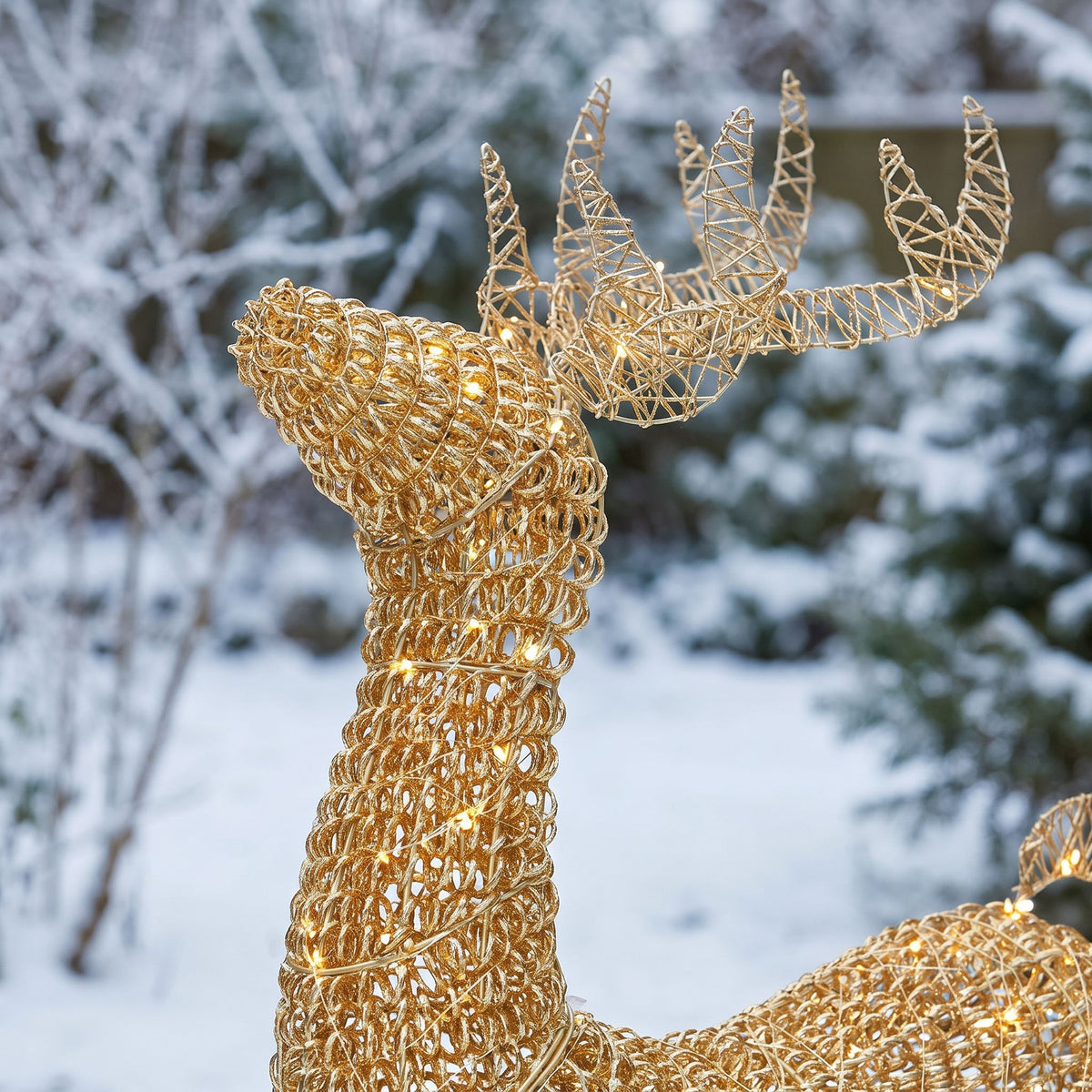Pre-Lit Christmas Gold Curly Standing Stag 80cm with 600 Warm White LED Micro-Lights