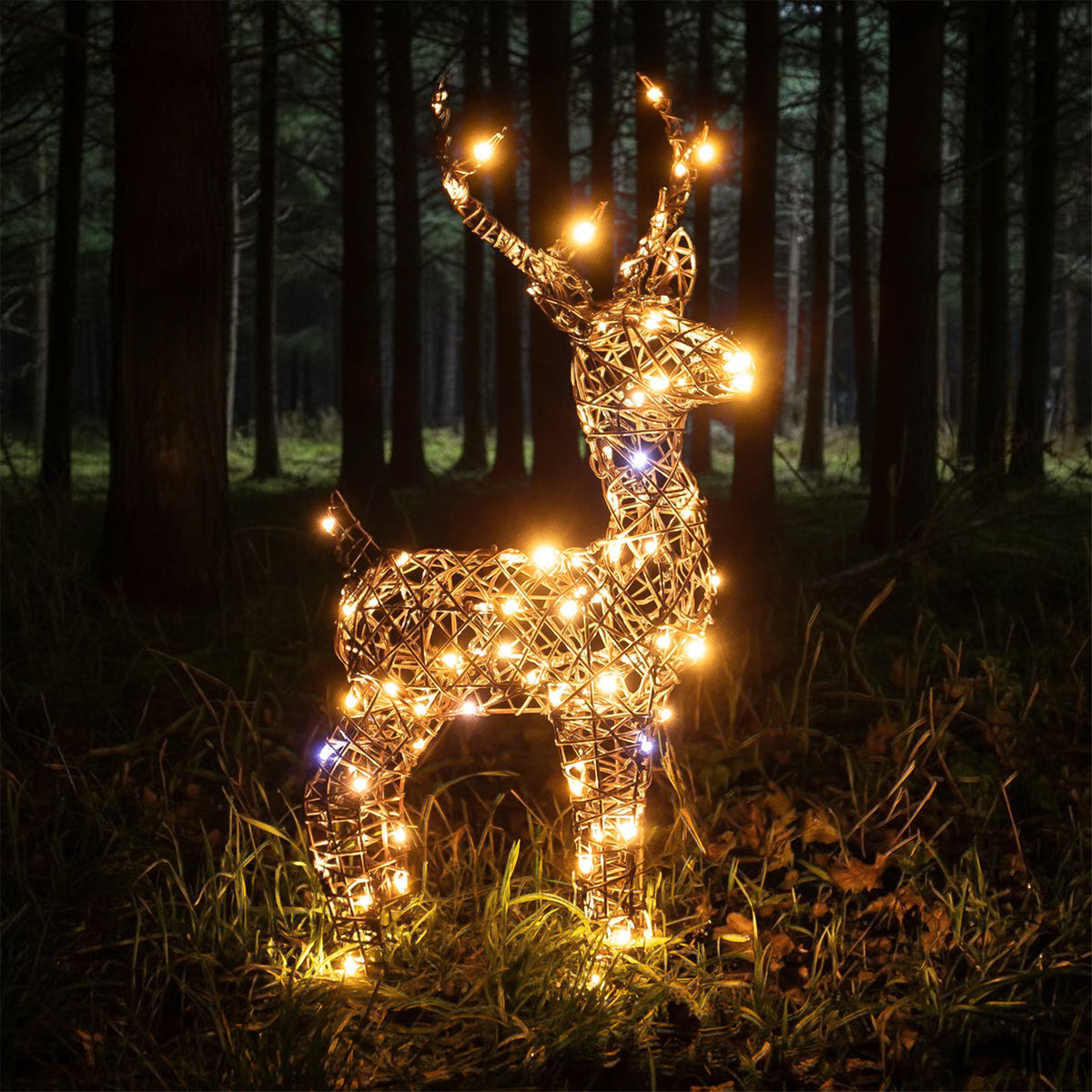 Christmas Reindeer Lights - 60CM Brown Wicker Light Up Small Stag with 90 White LEDs