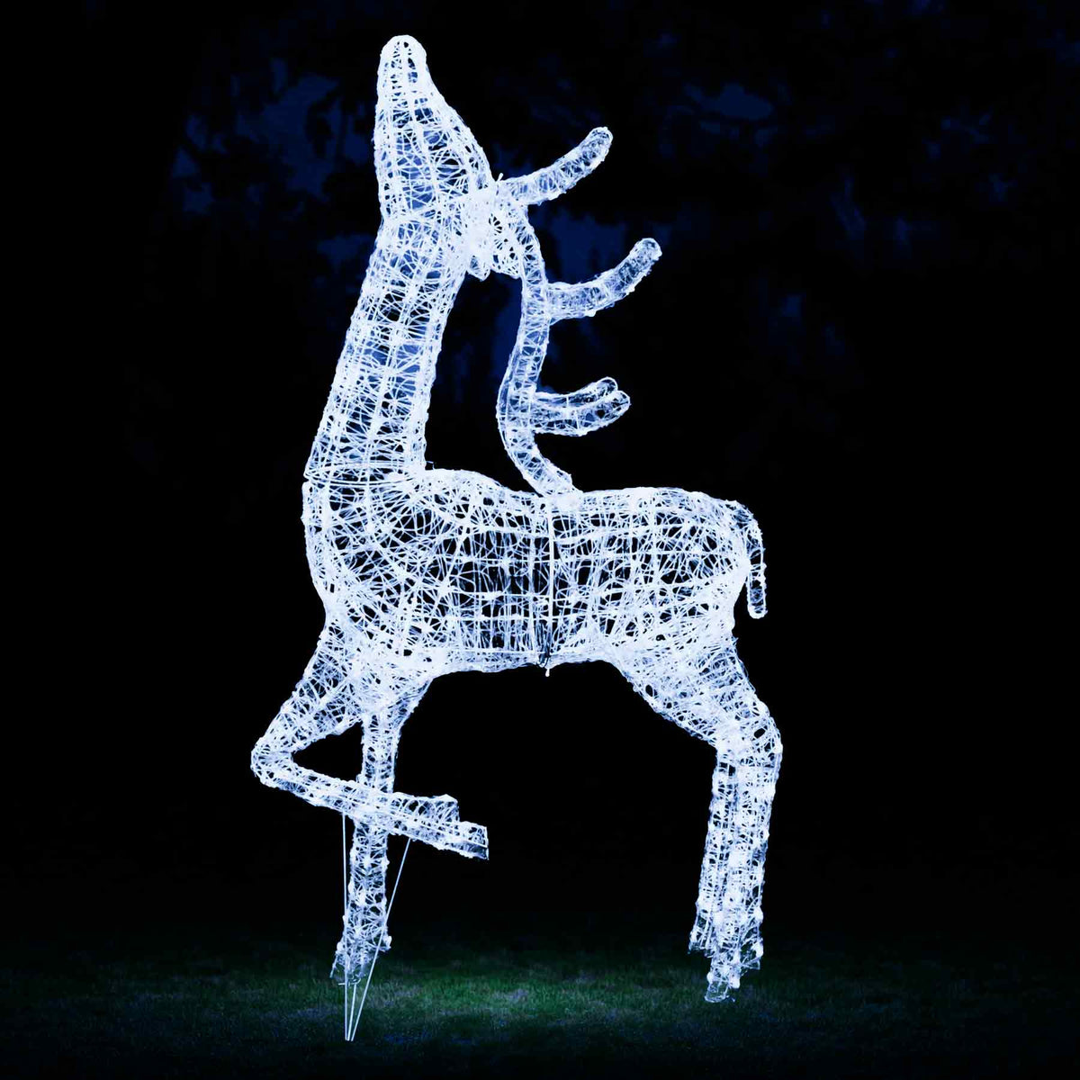 Outdoor Light Up Acrylic Christmas Reindeer Elegant Stag and Son Set