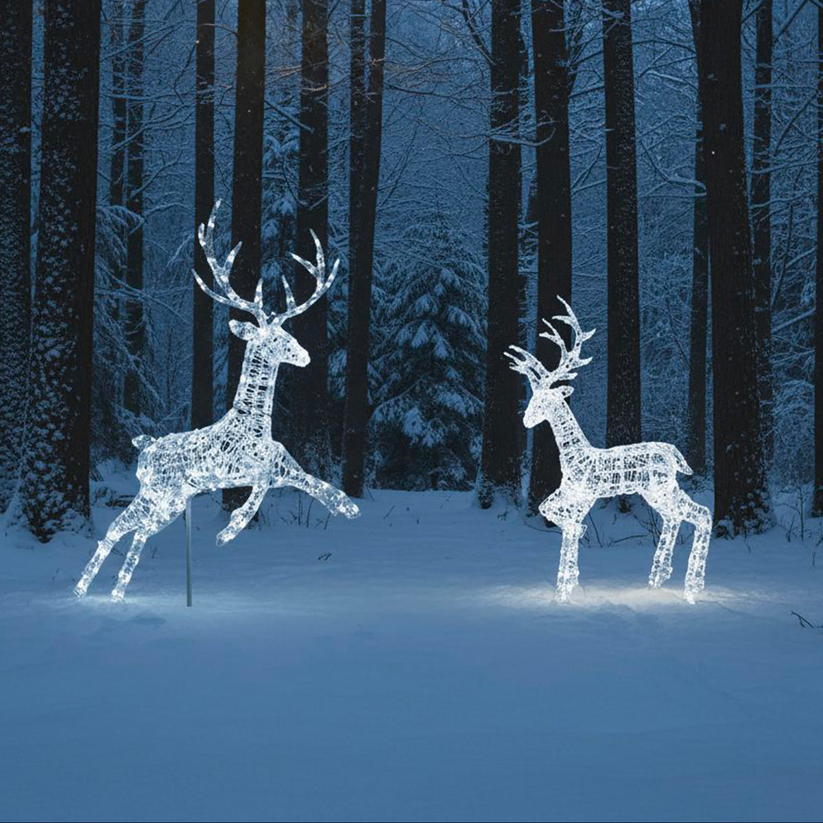 Outdoor Light Up Acrylic Christmas Reindeer Flying Stag and Stag Set