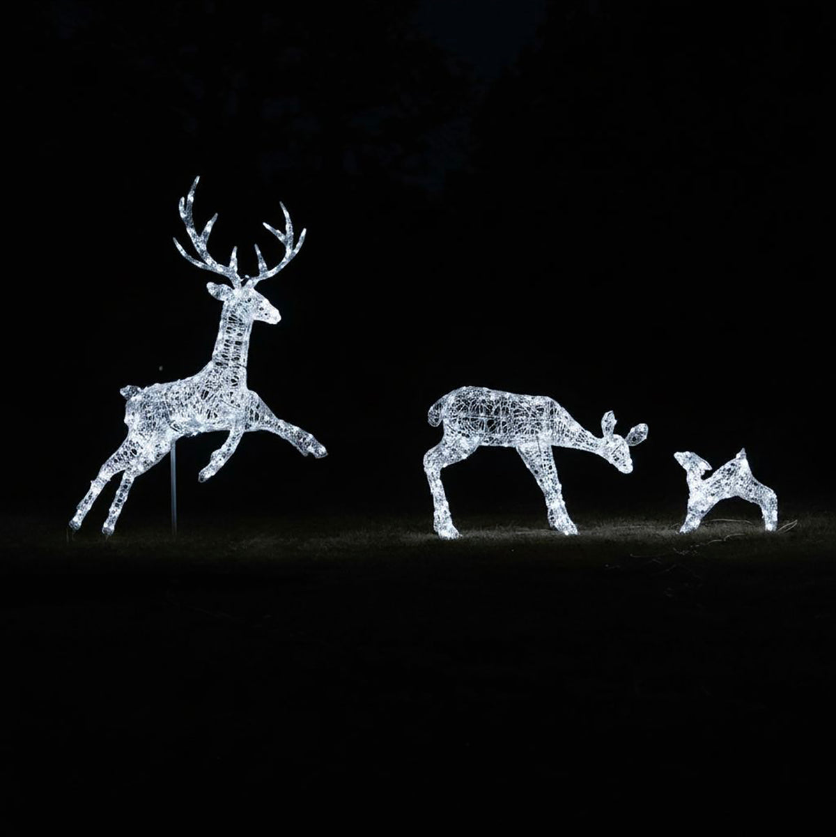 Outdoor Light Up Acrylic Christmas Reindeer Flying Stag Mother and Baby