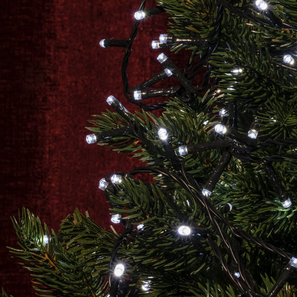 Ultra Bright White LED Multi-Function Christmas Lights - 1000 - Garden ...