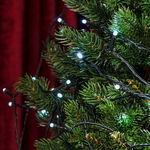 White LED Battery Operated MultiFunction Christmas Lights 60, 240