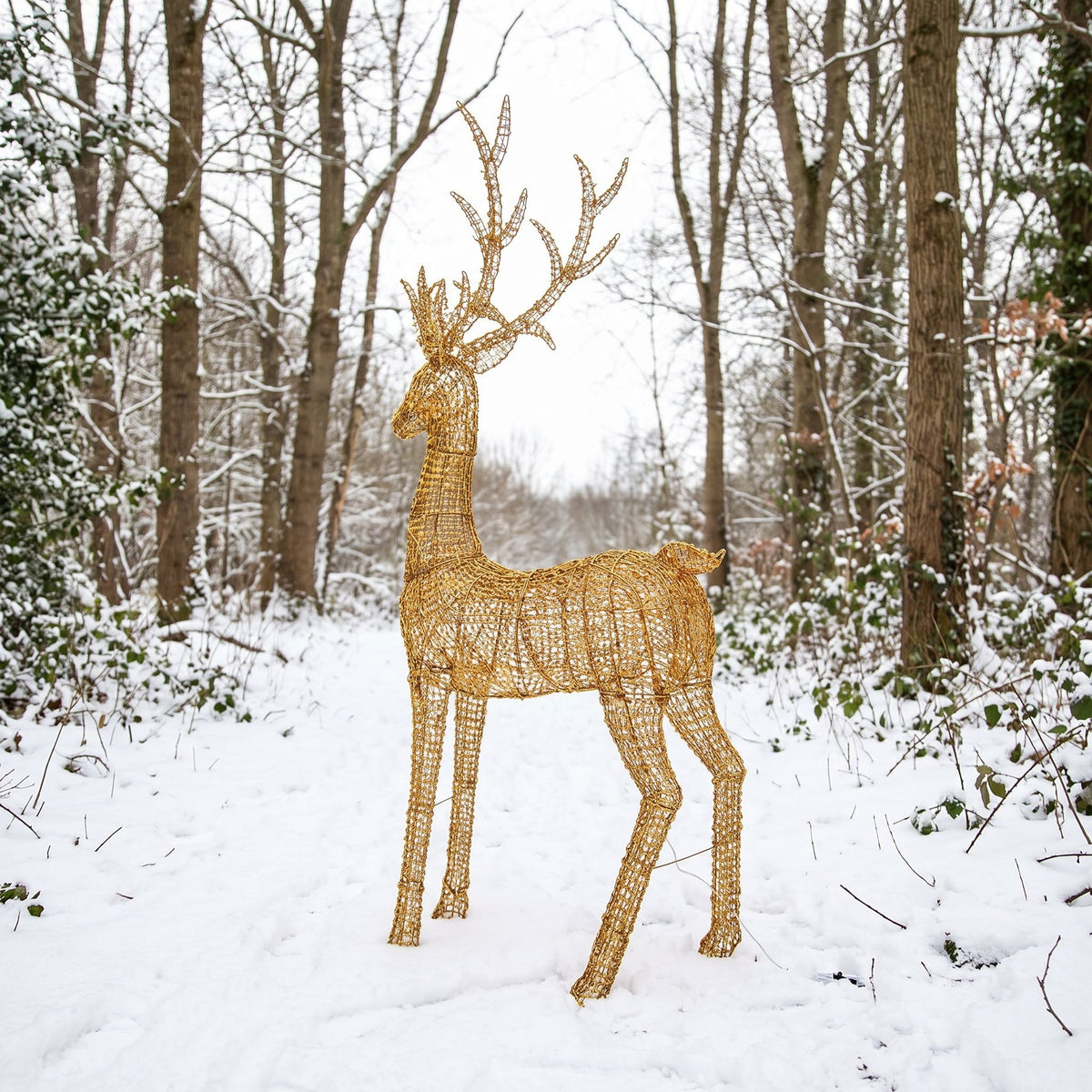 Pre-Lit Christmas Gold Curly Standing Stag 2.7m with 5200 Warm White LED Micro-Lights