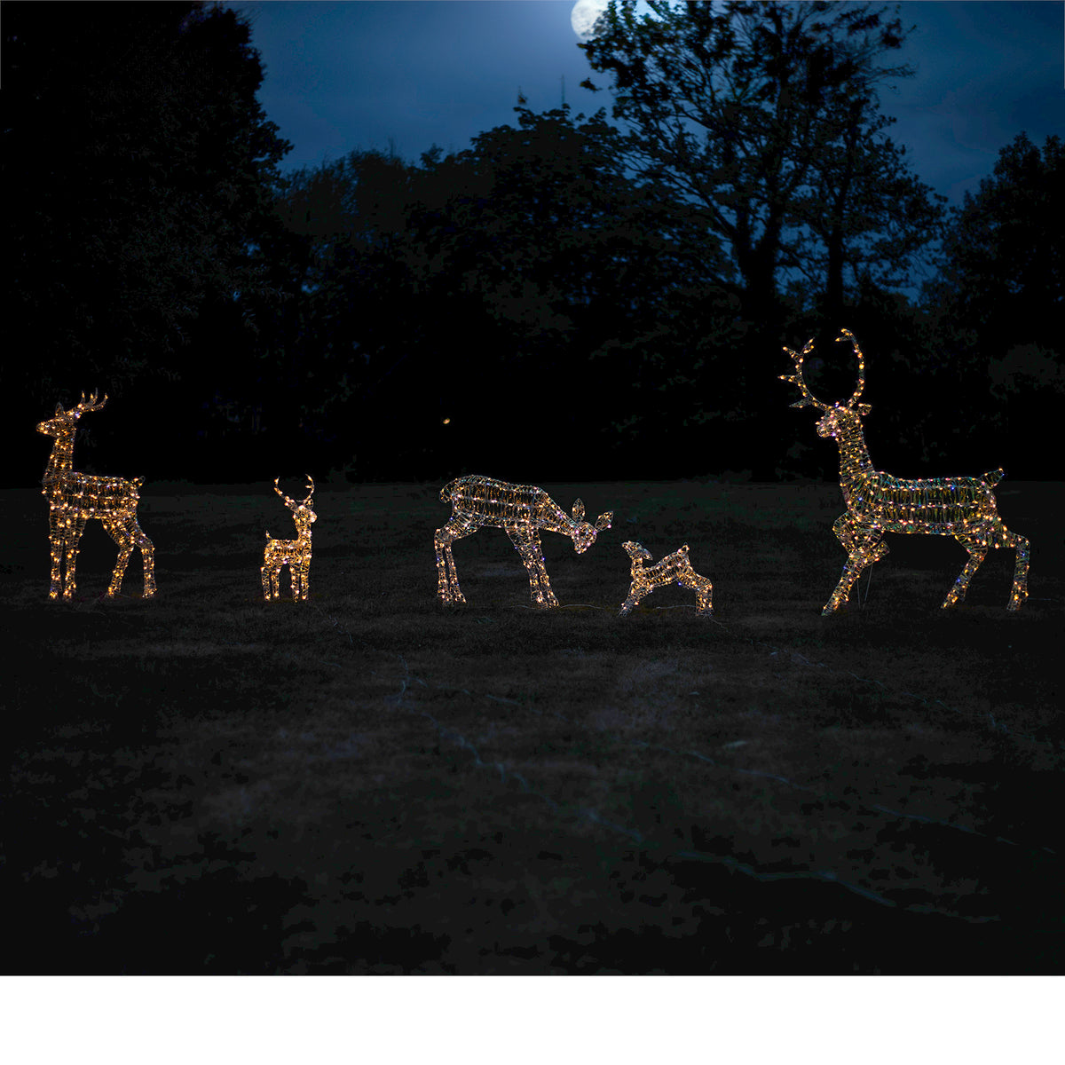Outdoor Light Up Laser Ribbon Christmas LED Reindeer Large Family Set