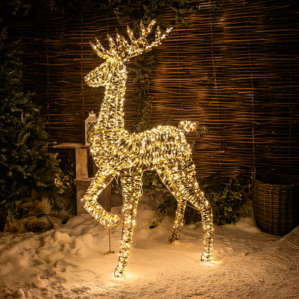 Pre-Lit Christmas Gold Laser Lit Stag 150cm with 960 Warm White LED Micro-Lights