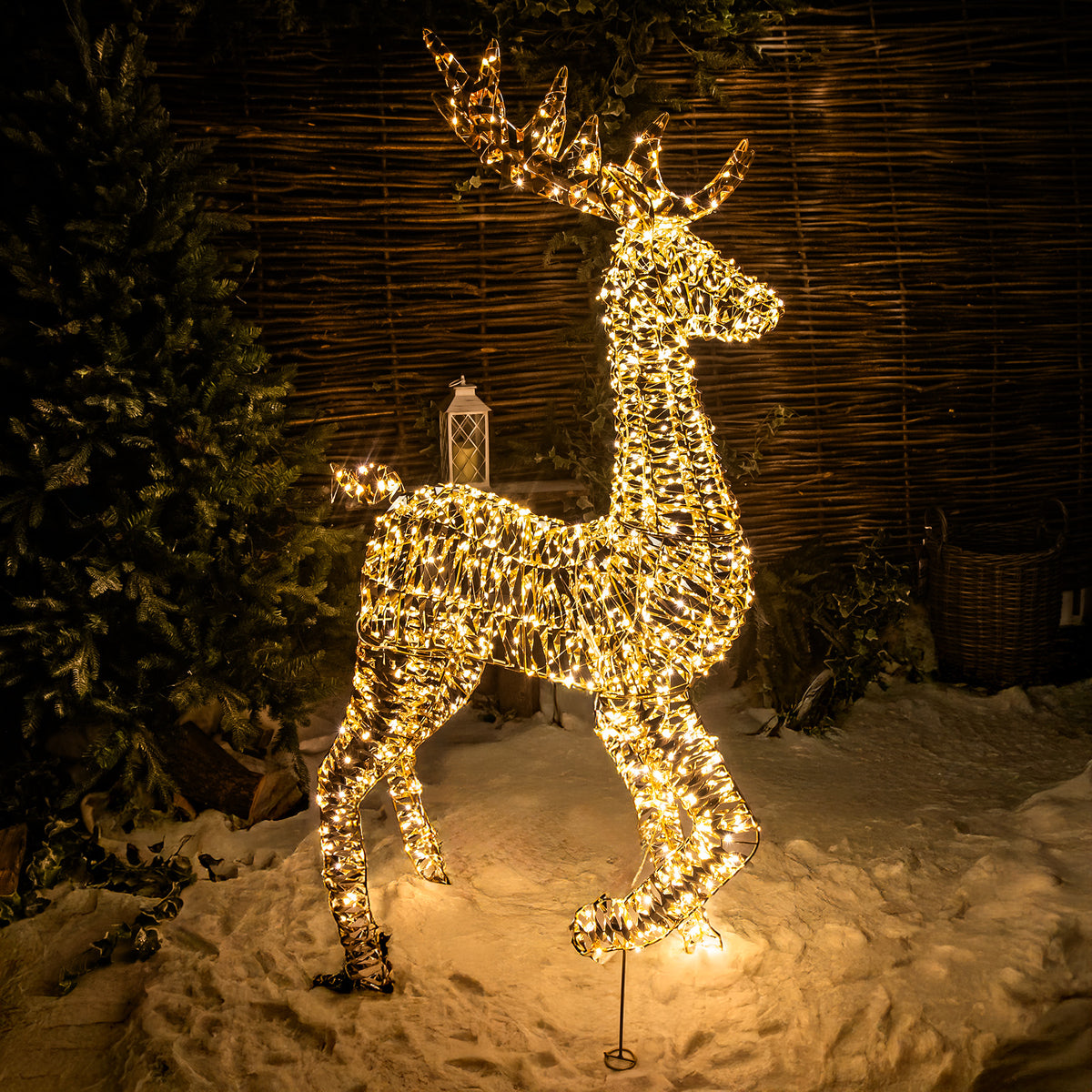 Pre-Lit Christmas Gold Laser Lit Stag 150cm with 960 Warm White LED Micro-Lights