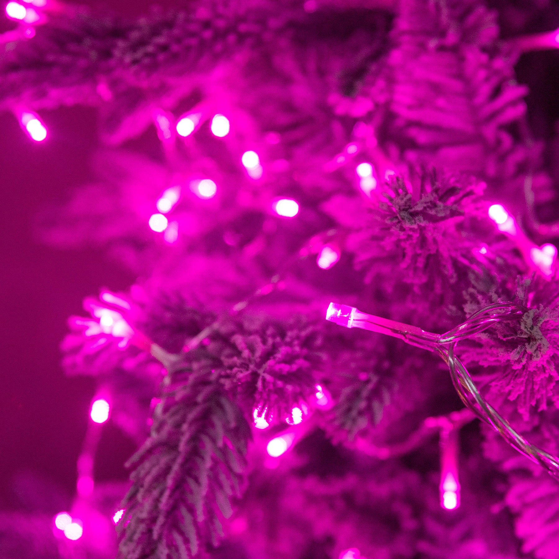 240 LED Pink Multi-Function Christmas String Lights with Clear Cable ...