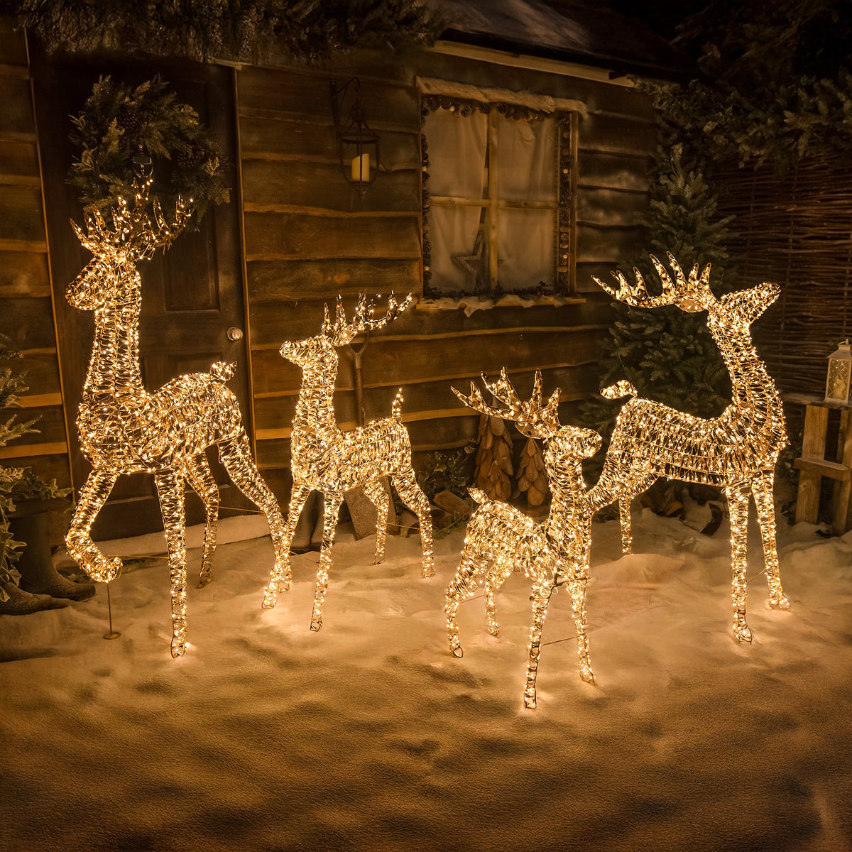 Pre-Lit Christmas Gold Laser Lit Reindeer Family with Warm White LED Micro-Lights