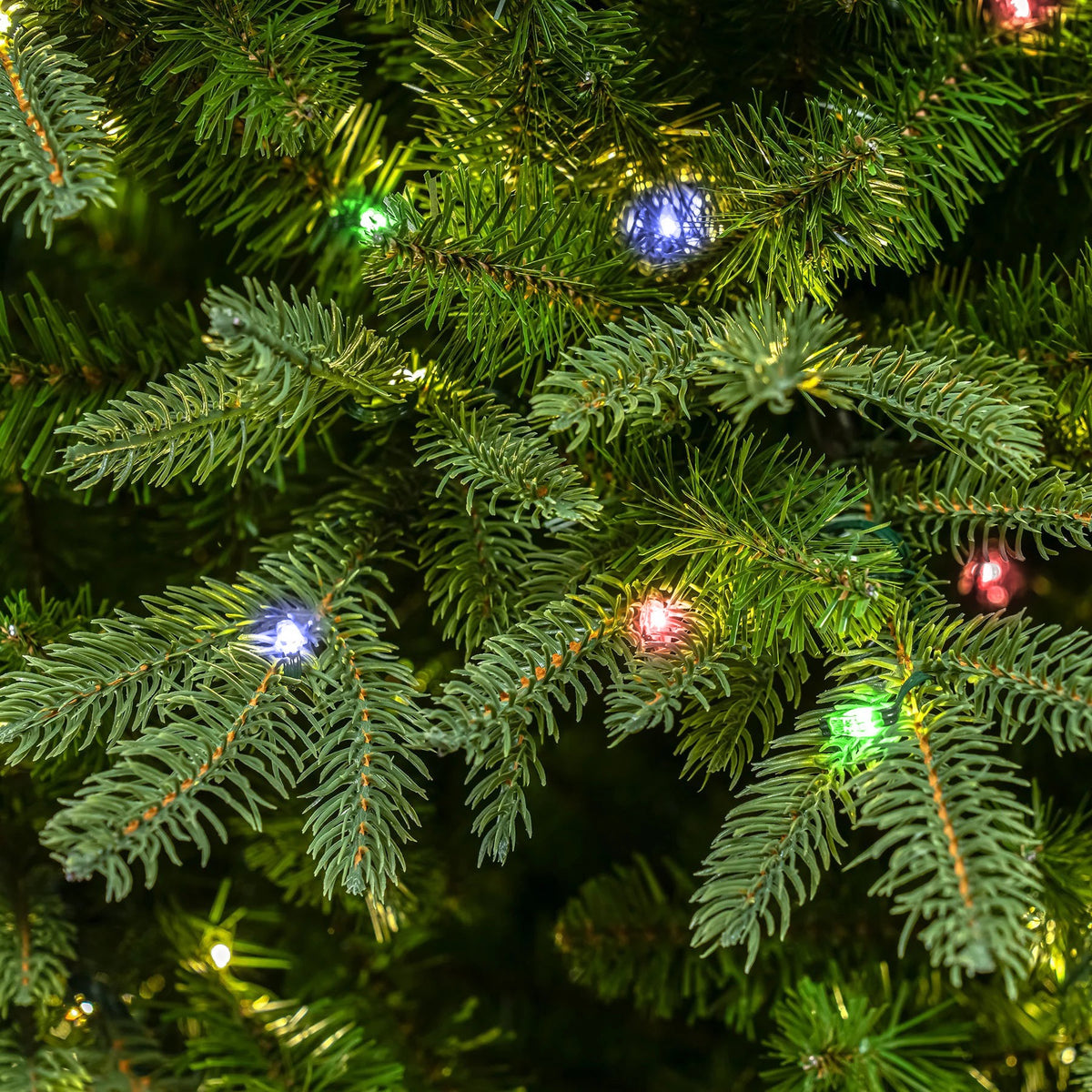 Hardwick Artificial Pre-Lit Green PE/PVC Christmas Tree 6FT, 7FT