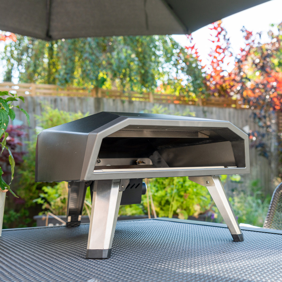 Draco Grills Gas Fired Outdoor Pizza Oven