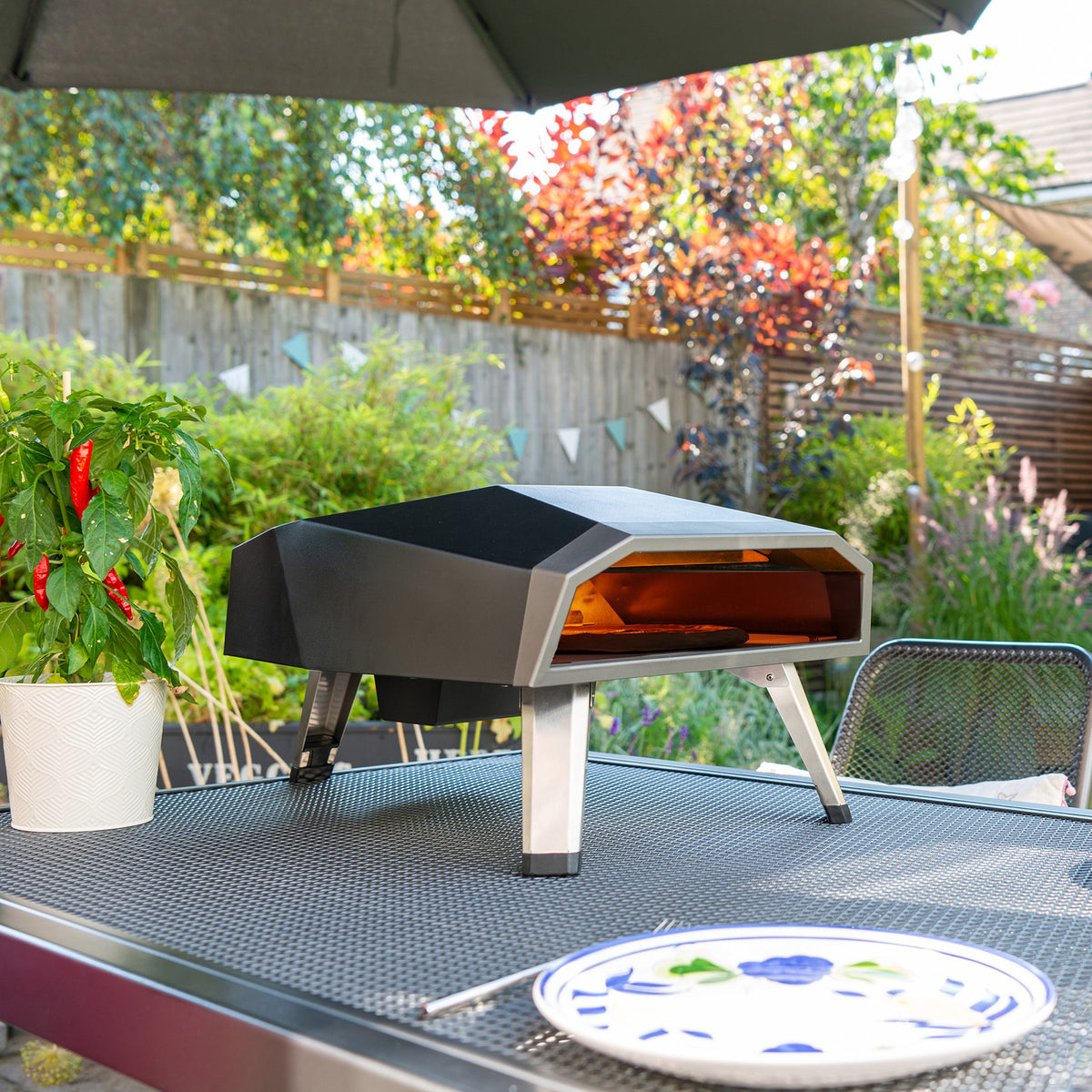 Draco Grills Gas Fired Outdoor Pizza Oven